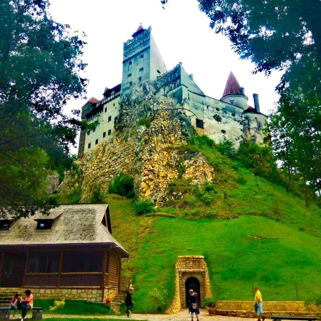 legendswildlife-awaits-draculas-castle-bear-sanctuary-2