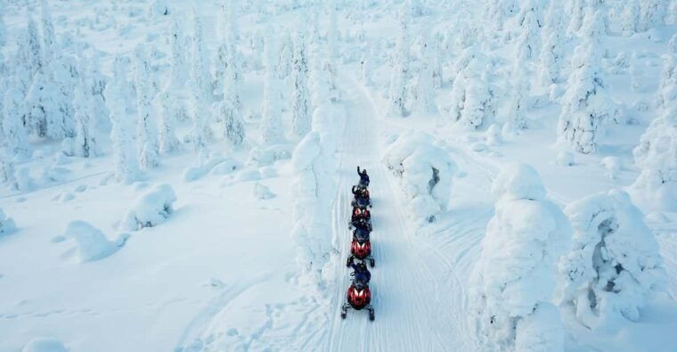 levi-forest-snowmobile-safari