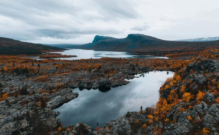 light-weighted-walk-through-wild-arctic-nature