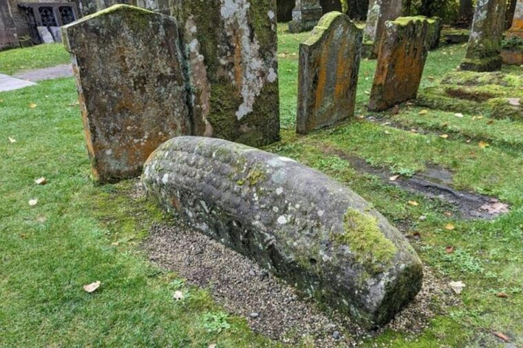 loch-lomond-highland-cows-victorian-town-half-day-tour