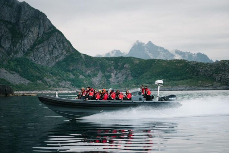 lofoten-trollfjord-sea-eagle-safari-by-rib-boat