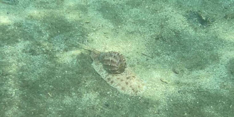 lombok-private-day-trip-snorkeling-in-secret-island