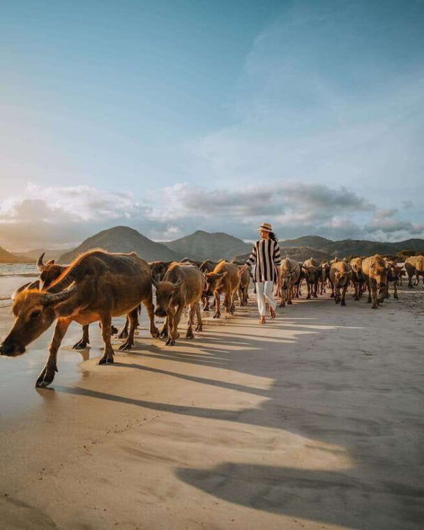 lombok-private-tour-surfing-explore-south-beach-sunset