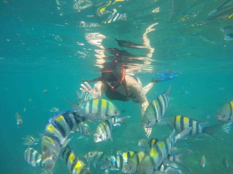 lombok-tour-and-snorkeling-gili-kedis-nanggu-and-sudak