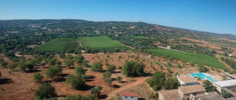 loule-quinta-da-tor-winery-guided-tour-and-wine-tasting