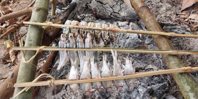 luang-prabang-mekong-fishing-with-a-local-fisherman-lunch