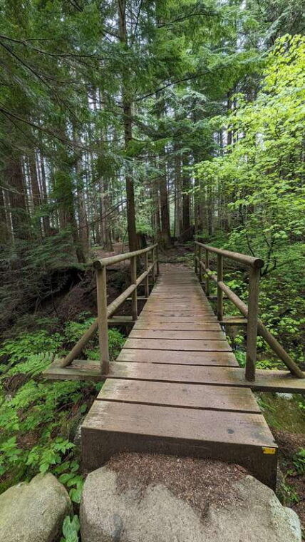 lynn-canyon-suspension-bridge-grouse-mount-private-tour