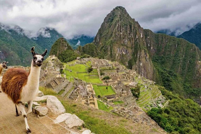 machu-picchu-full-day-6