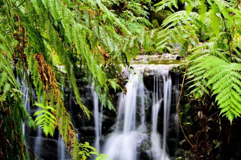 madeira-island-caldeirao-verde-levada-walk