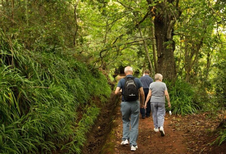 madeira-mini-combo-east-challenge-jeep-safari-levada