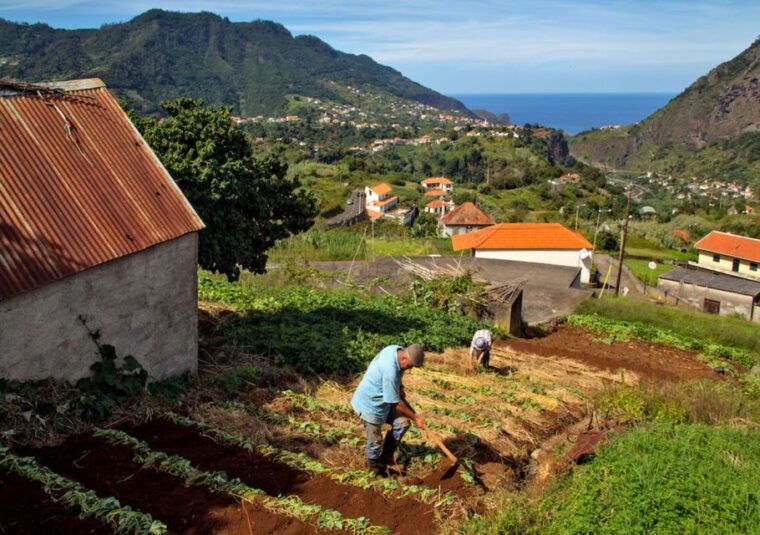 madeira-the-best-of-south-jeep-tour
