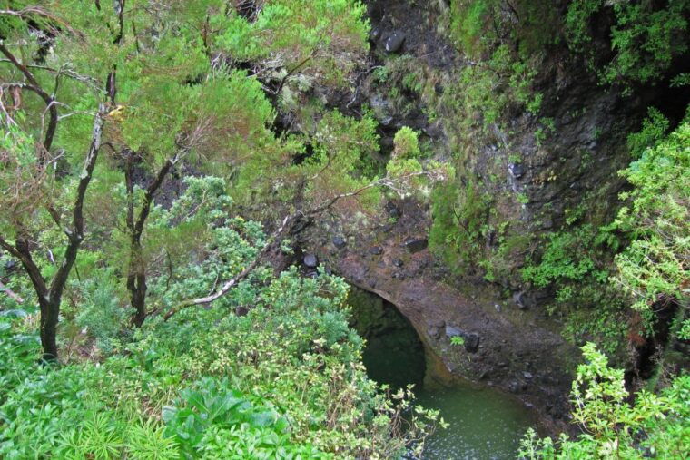 madeira-walks-rabacal-and-the-25-fountains