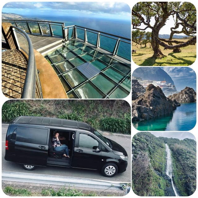 madeira-west-tour-with-guide-fanal-forest-sykwalkexperience