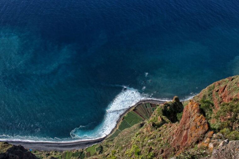 madeira-western-madeira-guided-trip-fanal-mystic-forest