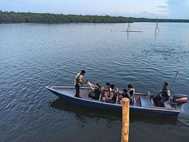 mangrove-discovery-tour-or-fireflies-tour