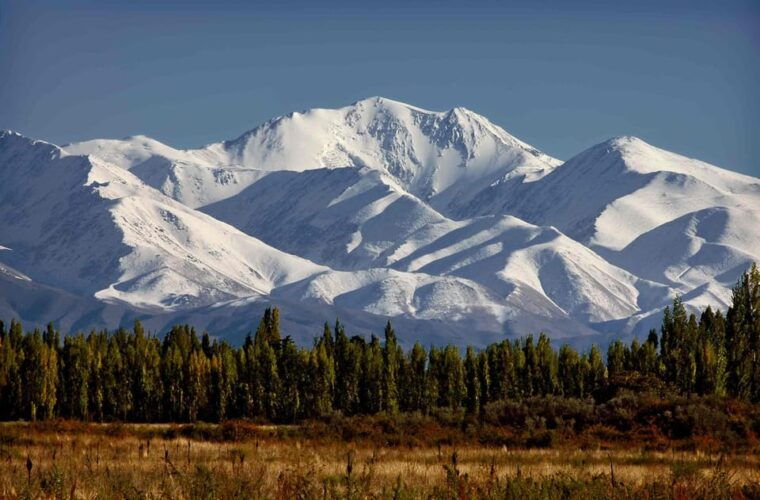mendoza