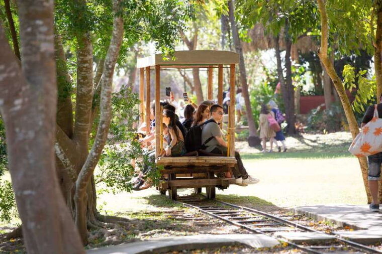 merida-hacienda-sotuta-de-peon-w-cenote-henequen-tour