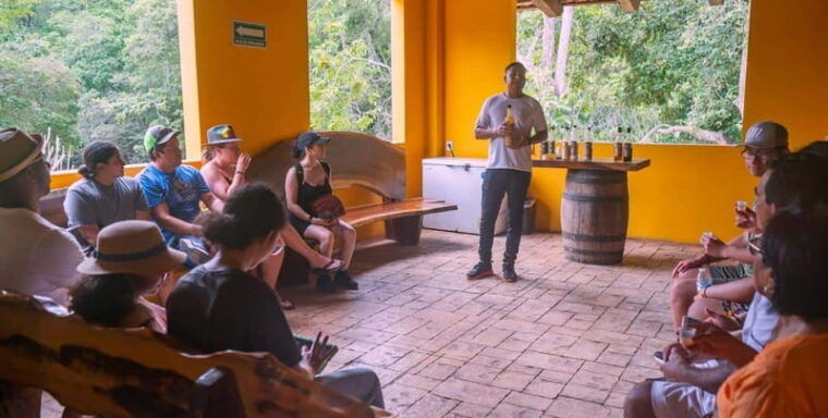 mexico-puerto-vallarta-city-tour