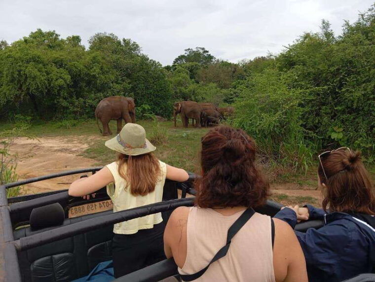 minneriya-national-park-half-day-safari-morning-or-evening