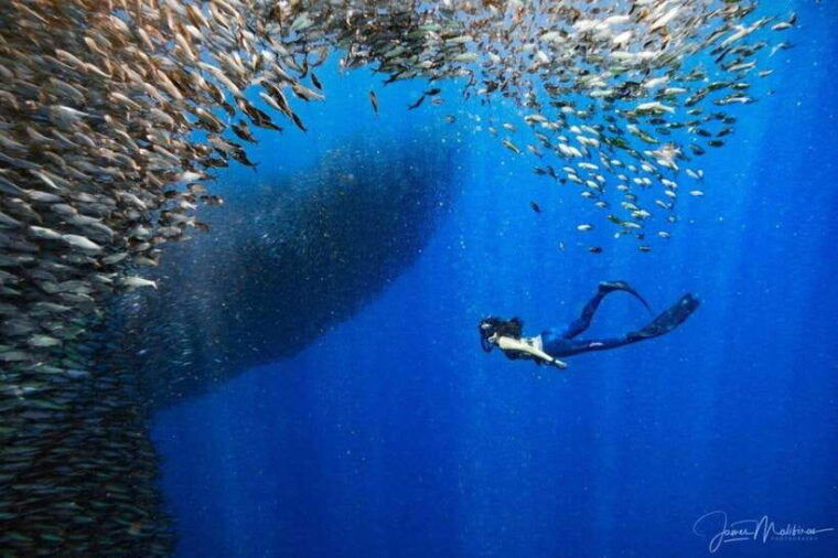 moalboal-scuba-diving-and-pescador-island-hopping