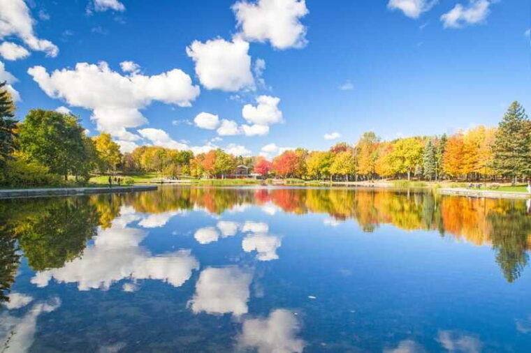 montreal-guided-bus-tour