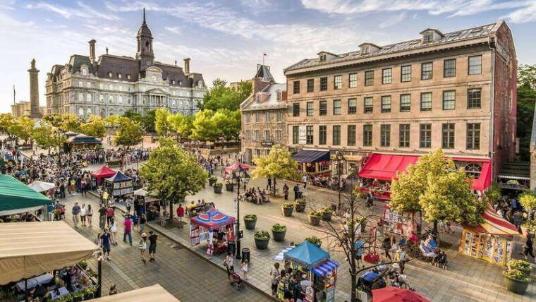 montreal-half-day-guided-city-tour