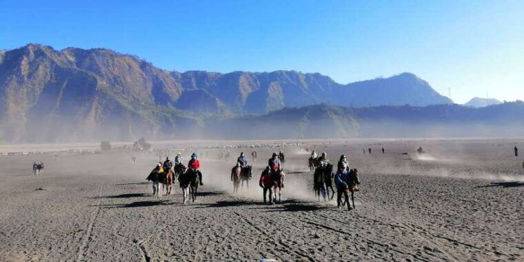 mount-bromo-sunrise-guided-tour-with-optional-transfer