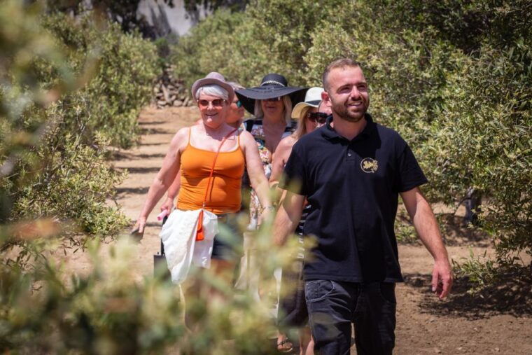 mykonos-winery-vineyard-experience-with-food-wine-tasting