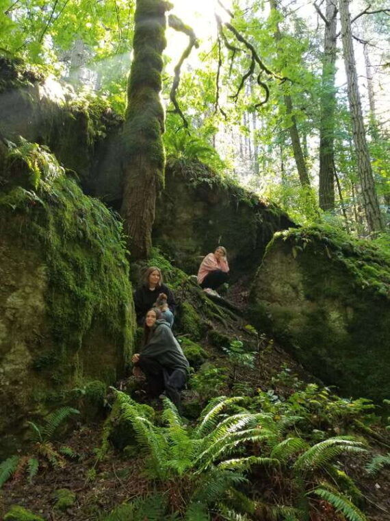 mystical-rainforest-tour-forest-magick