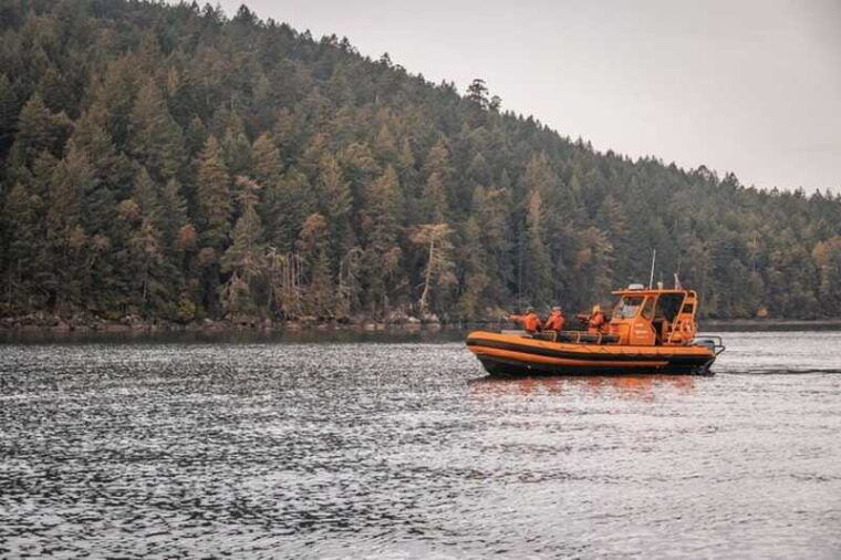 nanaimo-whale-watching-open-boat-tour
