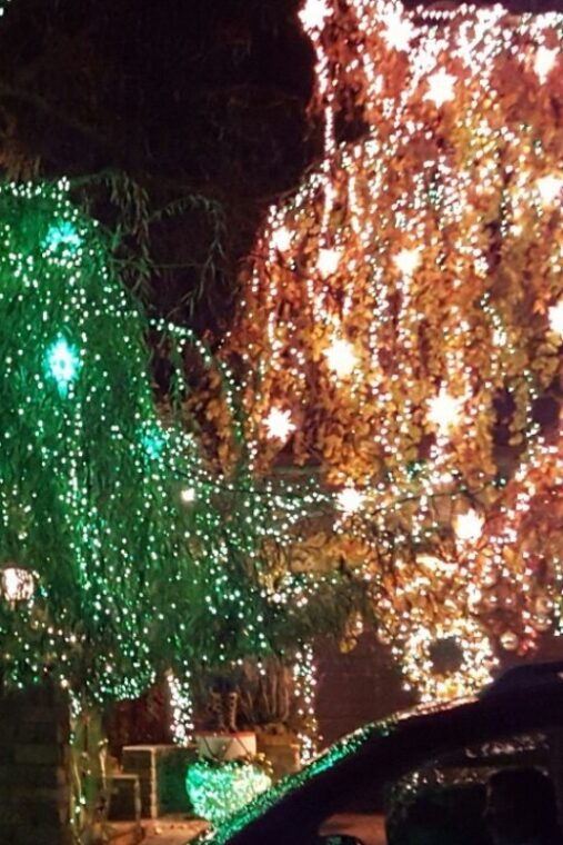 new-york-city-dyker-heights-christmas-lights-tour