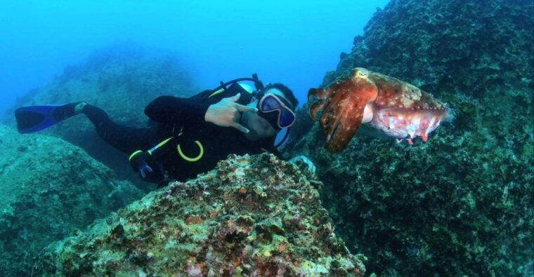 nha-trang-scuba-diving-experience-for-non-certified-divers