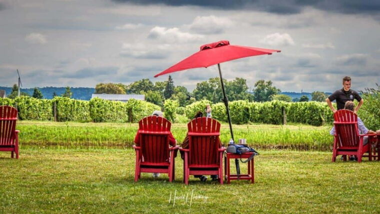 niagara-falls-canada-escarpment-boutique-wine-tour