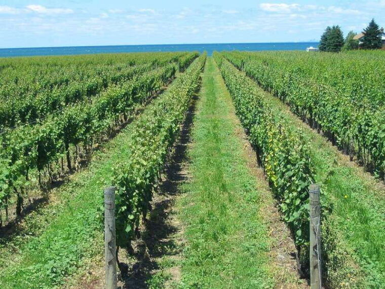 niagara-on-the-lake-niagara-falls-private-custom-day-trip