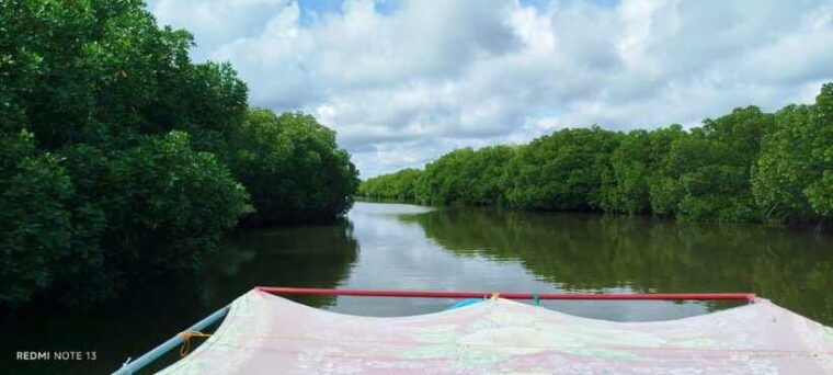 nilaveli-lagoon-boat-safari-with-mangrove-exploration