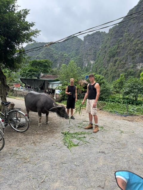 ninh-binh-motorbike-tour