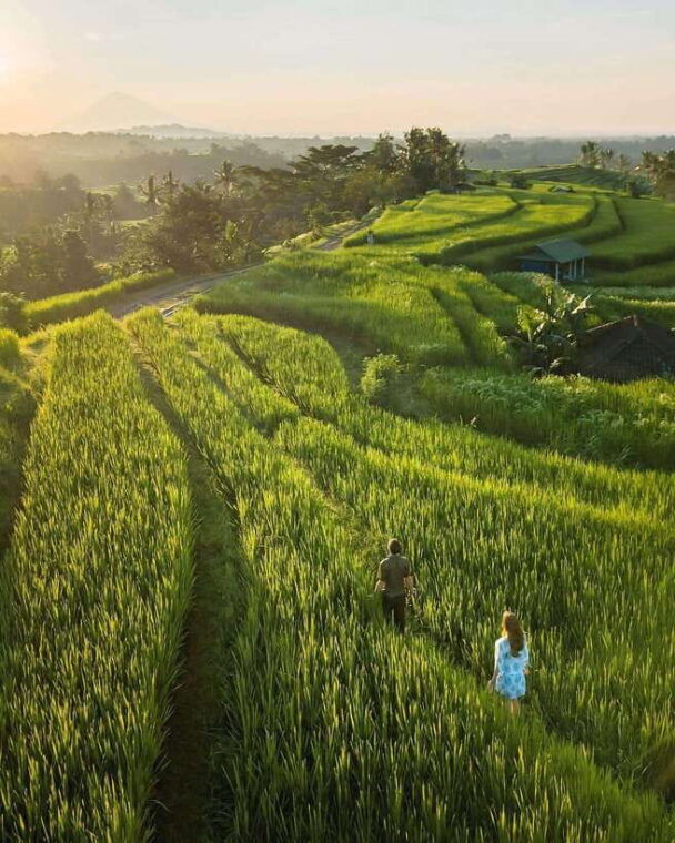 north-bali-sekumpul-and-banyumala-waterfalls-rice-terrace