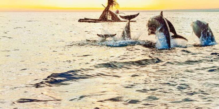 north-bali-sunrise-tour-with-dolphins-waterfalls-temples