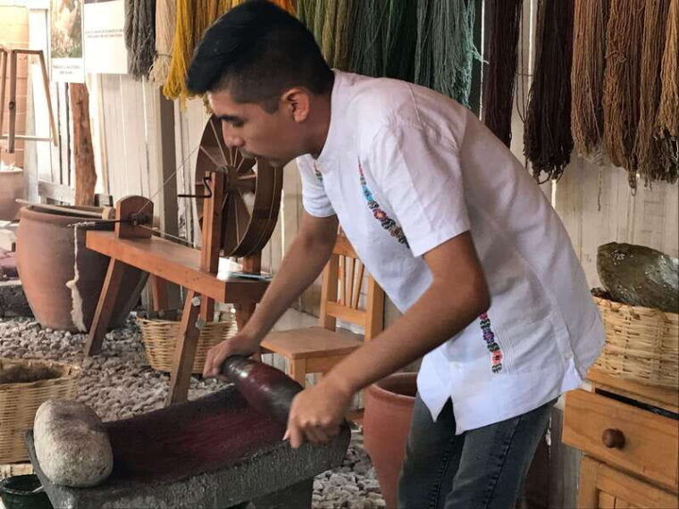 oaxaca-the-tule-tree-teotitlan-village-mezcal-tour