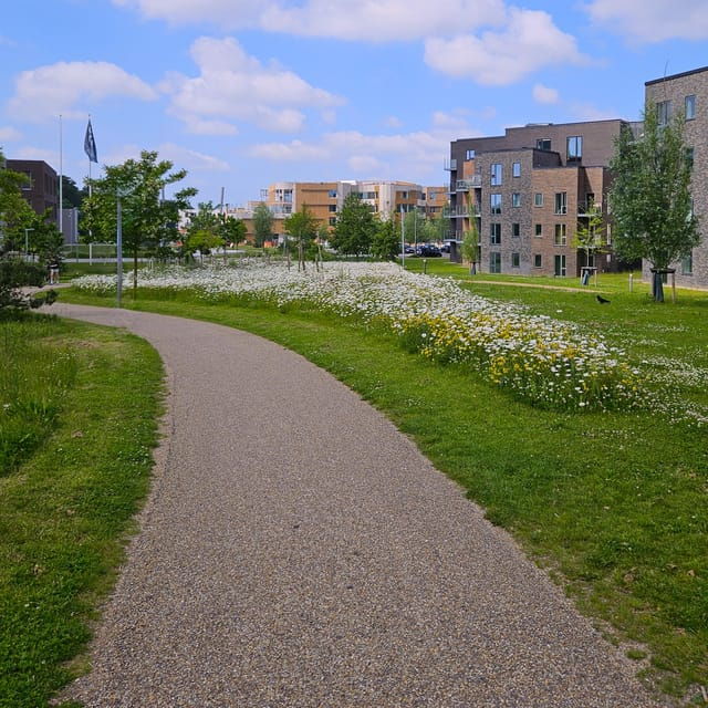 odense-city-walk-the-new-green-odense-city-development