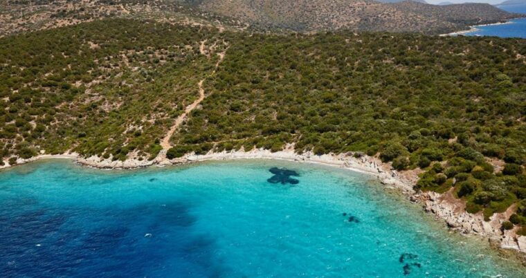 orak-island-boat-trip-bodrum