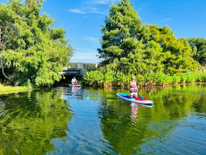 orlando-urban-clear-kayak-or-paddleboard-in-paradise