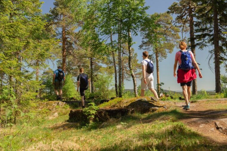oslo-skjennungstoppen-wildlife-forest-hiking-tour
