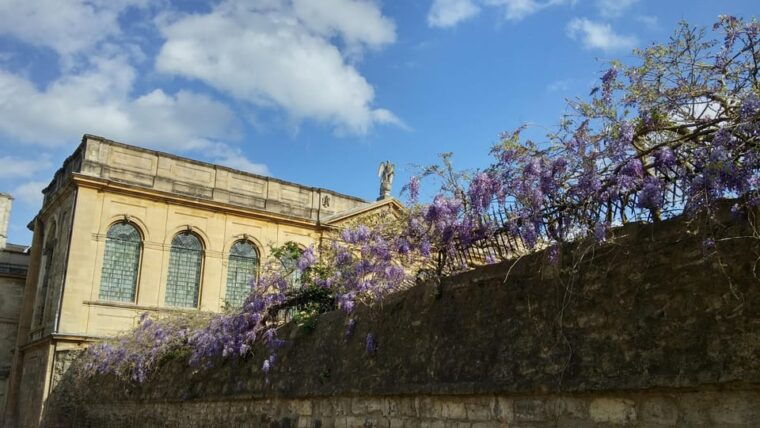 oxford-college-gardens-includes-spaces-closed-to-the-public