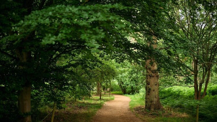 oxford-harcourt-arboretum-entry-ticket