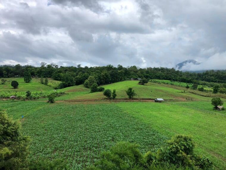 pai-ultimate-ziplining-adventure-through-the-jungle