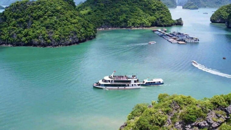 pamela-cruise-halong-bay-day-trip-with-lunch-activities