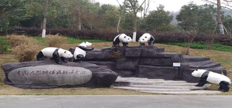 panda-and-green-tea-making-tour