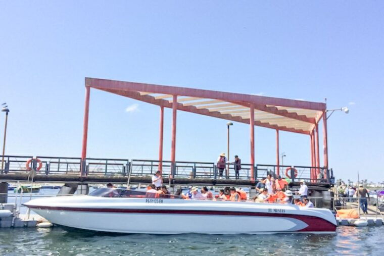 paracas-ballestas-islands-morning-boat-tour