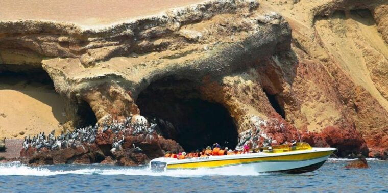 paracas-ballestas-islands-paracas-reserve-full-day